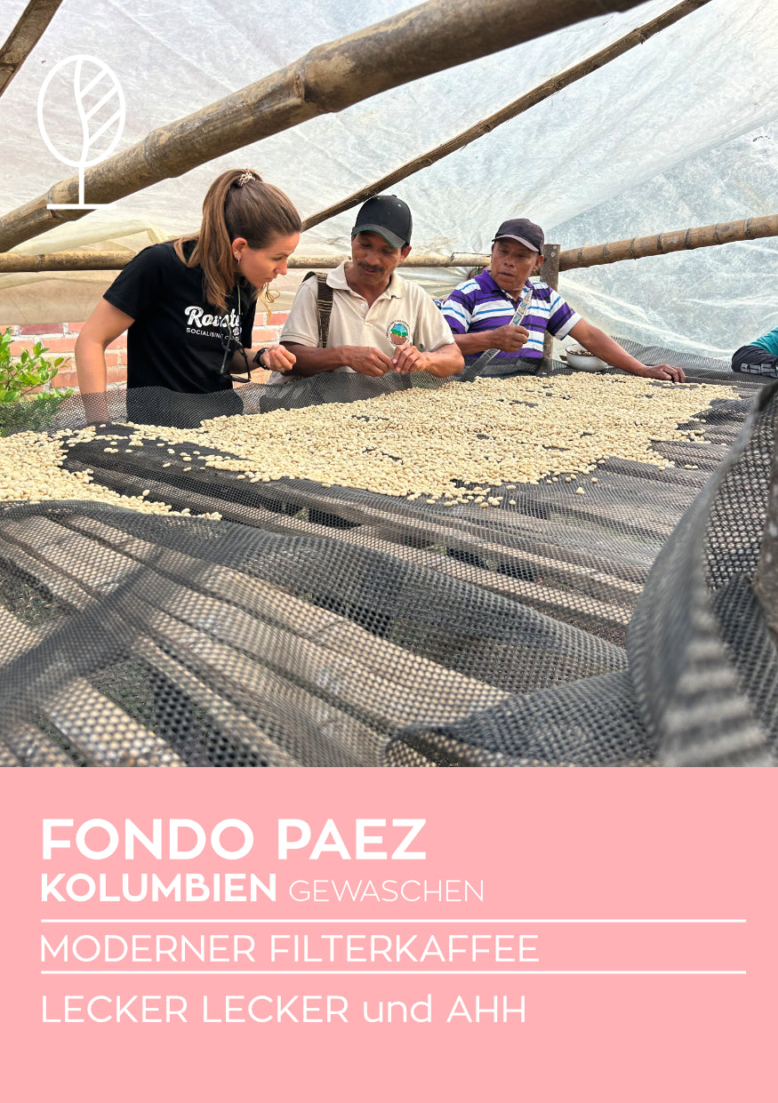 KOLUMBIEN FONDO PAEZ | gewaschen| Moderner Filterkaffee