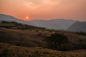 RUTAS DEL INCA  | Peru Microlot Anaerob Gewaschen | Moderner Filterkaffee